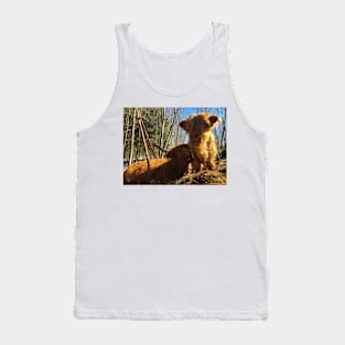 Scottish Highland Cattle Cow and Calf 1965 Tank Top